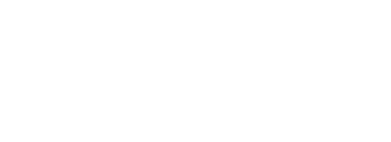 NASM log